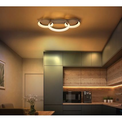 Globo - LED Laelamp LED/40W/230V 3000K 70x35 cm