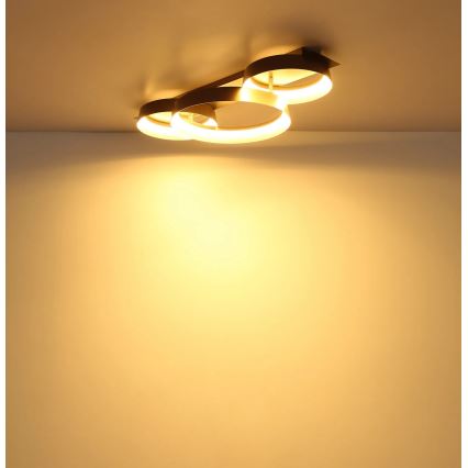 Globo - LED Laelamp LED/40W/230V 3000K 70x35 cm