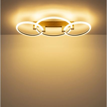 Globo - LED laelamp LED/40W/230V 3000K 76,1x38 cm pruun
