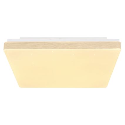 Globo - LED Laevalgusti LED/12W/230V
