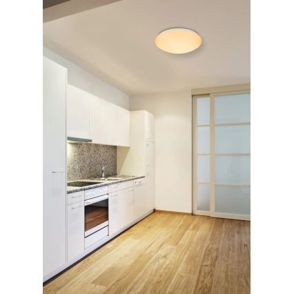 Globo - LED RGBW hämardatav laelamp LED/24W/230V + LED/8W 2700-6500K läbimõõt 41 cm + kaugjuhtimispult