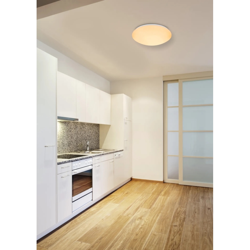 Globo - LED RGBW hämardatav laelamp LED/24W/230V + LED/8W 2700-6500K läbimõõt 41 cm + kaugjuhtimispult
