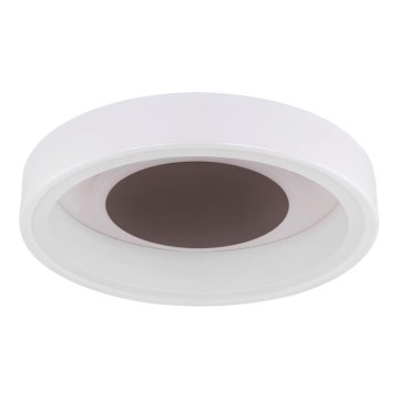 Globo 48398-24 - LED Laevalgusti GOFFI LED/30W/230V