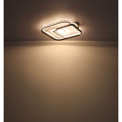 Globo 48459-48 - Hämardatav laelamp ANI LED/48W/230V 2700-6000K 48x52 cm + kaugjuhtimispult