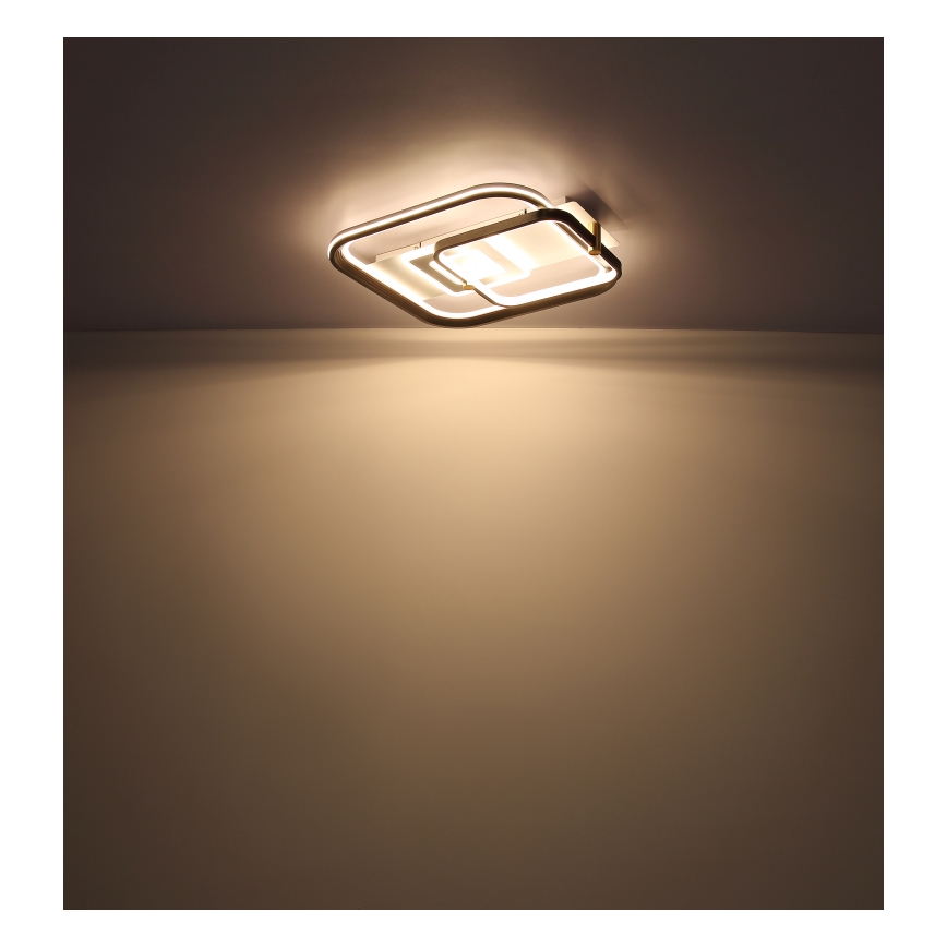 Globo 48459-48 - Hämardatav laelamp ANI LED/48W/230V 2700-6000K 48x52 cm + kaugjuhtimispult