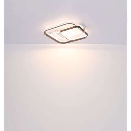 Globo 48459-48 - Hämardatav laelamp ANI LED/48W/230V 2700-6000K 48x52 cm + kaugjuhtimispult