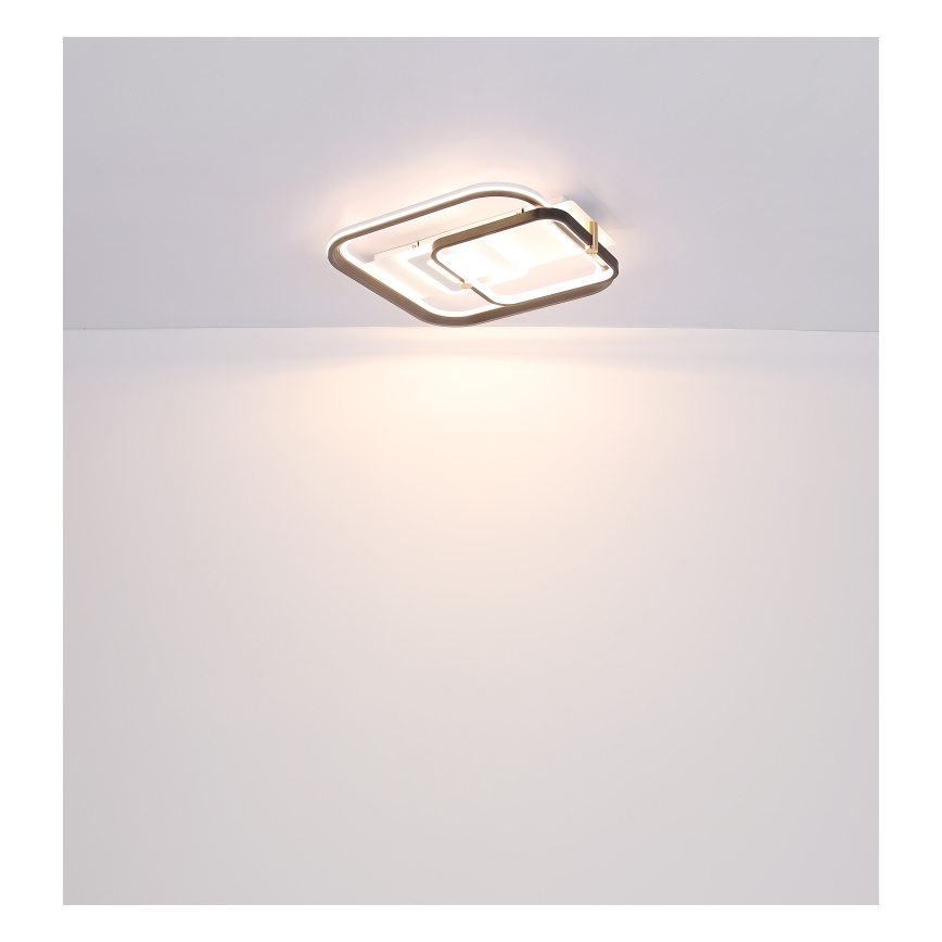 Globo 48459-48 - Hämardatav laelamp ANI LED/48W/230V 2700-6000K 48x52 cm + kaugjuhtimispult