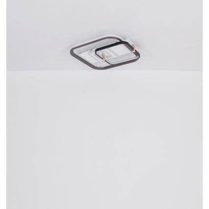 Globo 48459-48 - Hämardatav laelamp ANI LED/48W/230V 2700-6000K 48x52 cm + kaugjuhtimispult