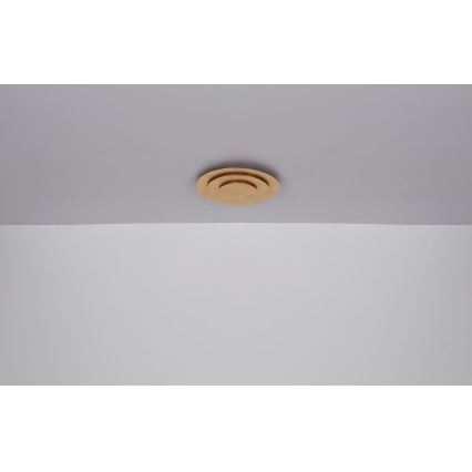 Globo - LED laelamp LED/40W/230V 3000K Ø 49 cm, kuldne