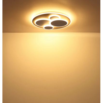 Globo - LED laevalgusti LED/40W/230V 3000K läbimõõt 49 cm