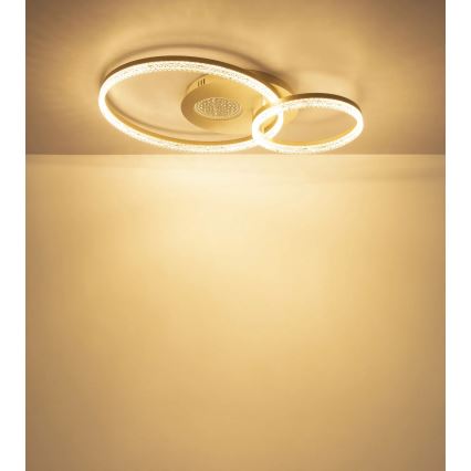 Globo - LED laelamp LED/30W/230V 3000K 70x50 cm beež