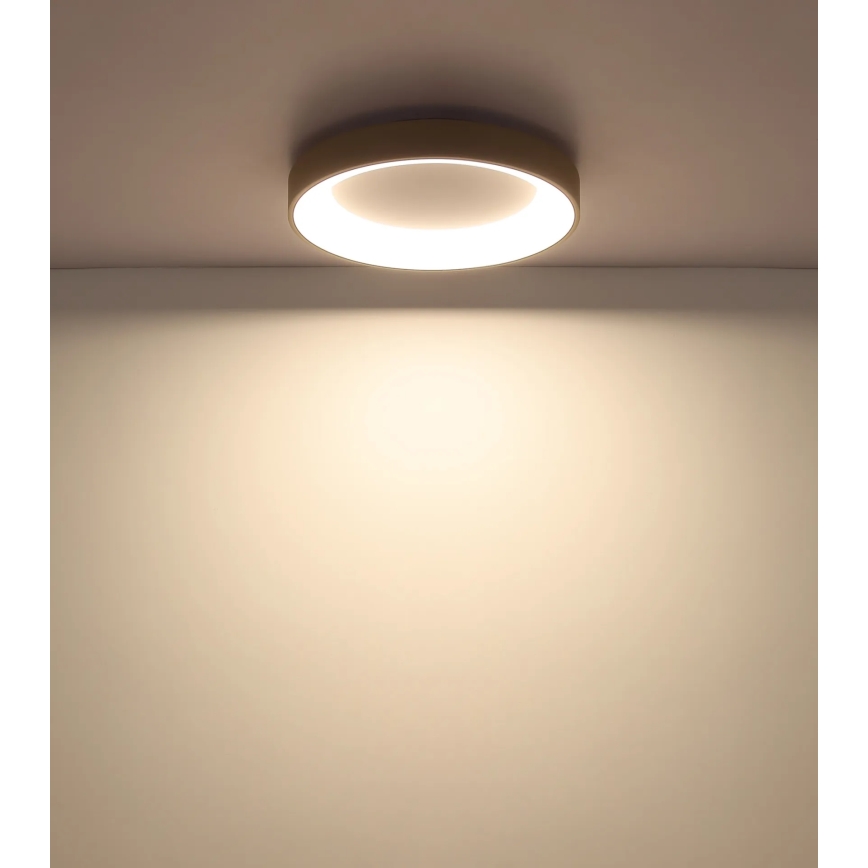 Globo - LED hämardatav laelamp LED/48W/230V 2700–6000K Ø 50 cm + kaugjuhtimispult