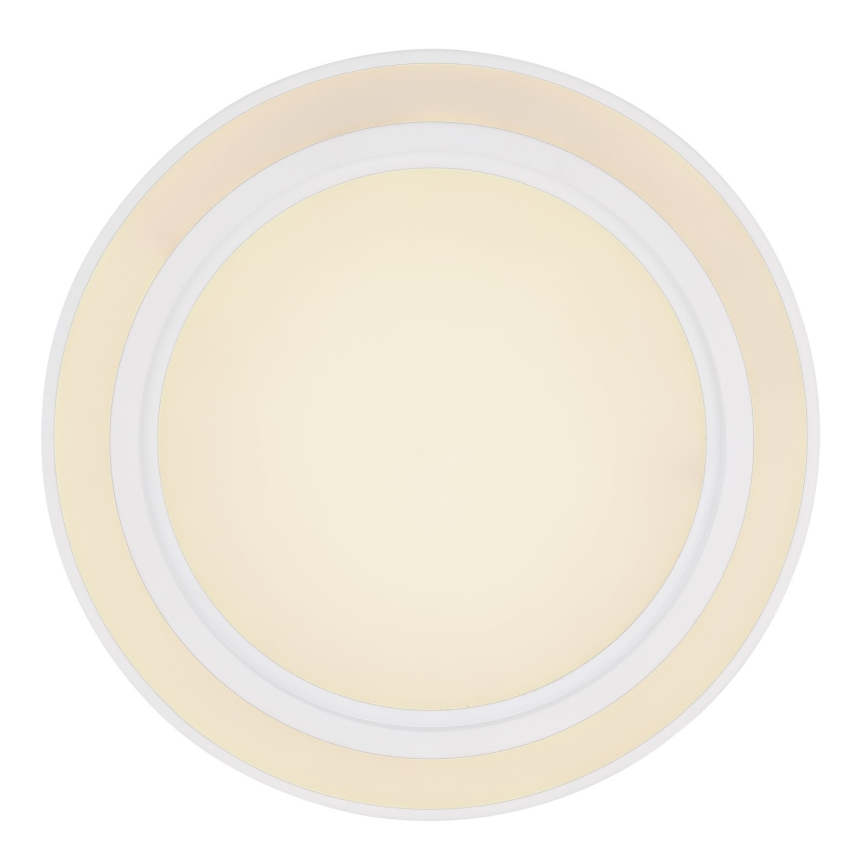 Globo 48549-35 - LED RGB Hämardatav valgusti DAHLA LED/35W/230V + LED/15W + Pult