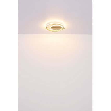 Globo - LED Laevalgusti LED/36W/230V