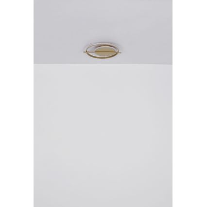 Globo - LED Laevalgusti LED/36W/230V