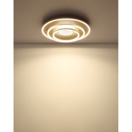 Globo - LED laelamp LED/40W/230V 3000/4000/6000K läbimõõt 51 cm beež