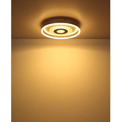 Globo - LED laelamp LED/24W/230V 3000K läbimõõt 40 cm