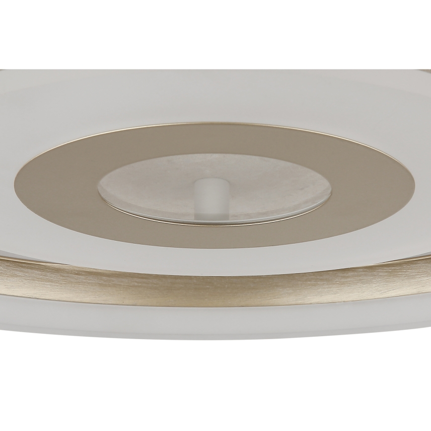 Globo - LED laelamp LED/24W/230V 3000K läbimõõt 40 cm