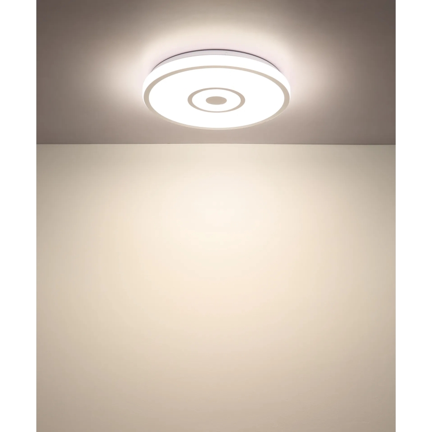 Globo - LED laelamp LED/24W/230V 3000/4000/6000K läbimõõt 38 cm valge/mattkroom