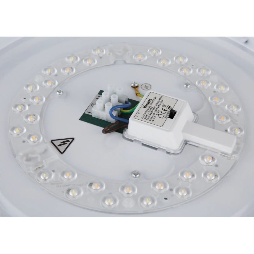 Globo - LED laelamp LED/24W/230V 3000/4000/6000K läbimõõt 38 cm valge/mattkroom