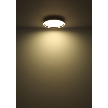 Globo - LED Hämardatav laevalgusti LED/48W/230V d. 50 cm 2700-6000K + kaugjuhtimispult