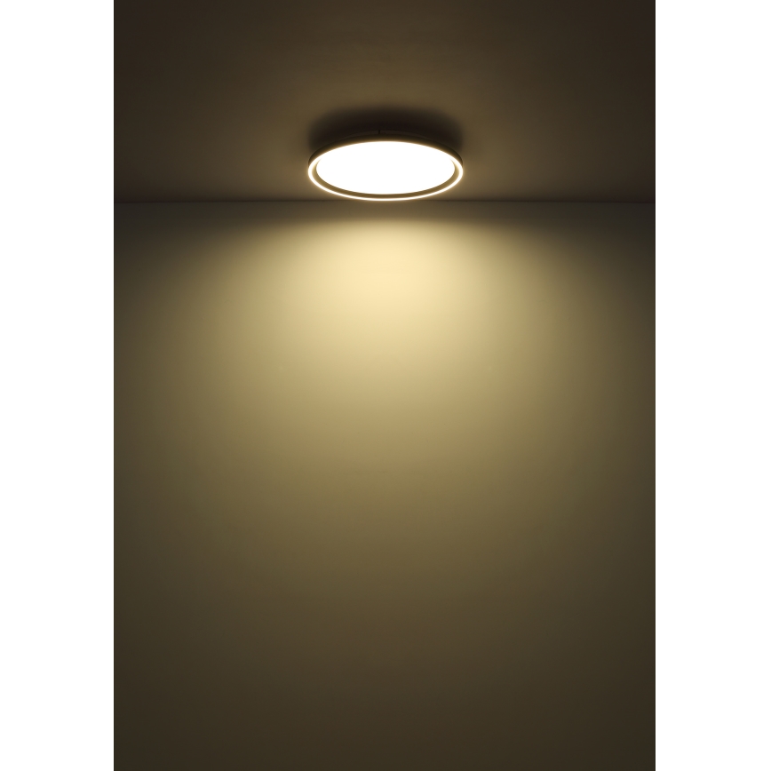 Globo - LED Hämardatav laevalgusti LED/48W/230V d. 50 cm 2700-6000K + kaugjuhtimispult