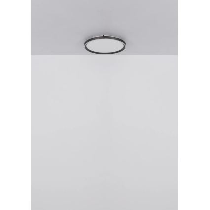 Globo - LED Hämardatav laevalgusti LED/48W/230V d. 50 cm 2700-6000K + kaugjuhtimispult
