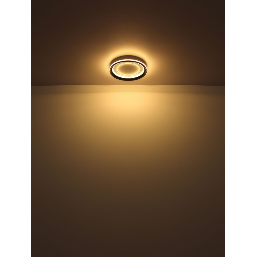 Globo - LED Hämardatav laevalgusti LED/24W/230V 2700-6000K + kaugjuhtimispult