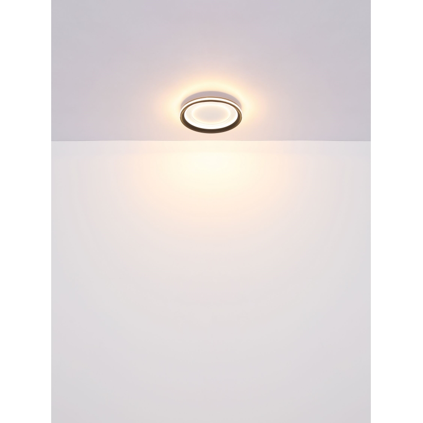 Globo - LED Hämardatav laevalgusti LED/24W/230V 2700-6000K + kaugjuhtimispult