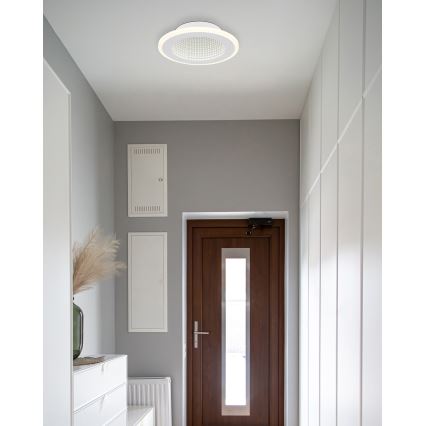 Globo - LED Laevalgusti LED/12W/230V 4000K