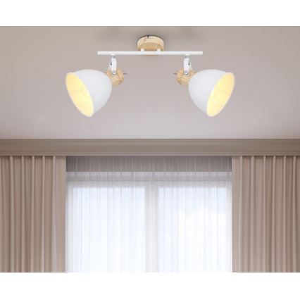 Globo - Kohtvalgusti 2xE27/40W/230V