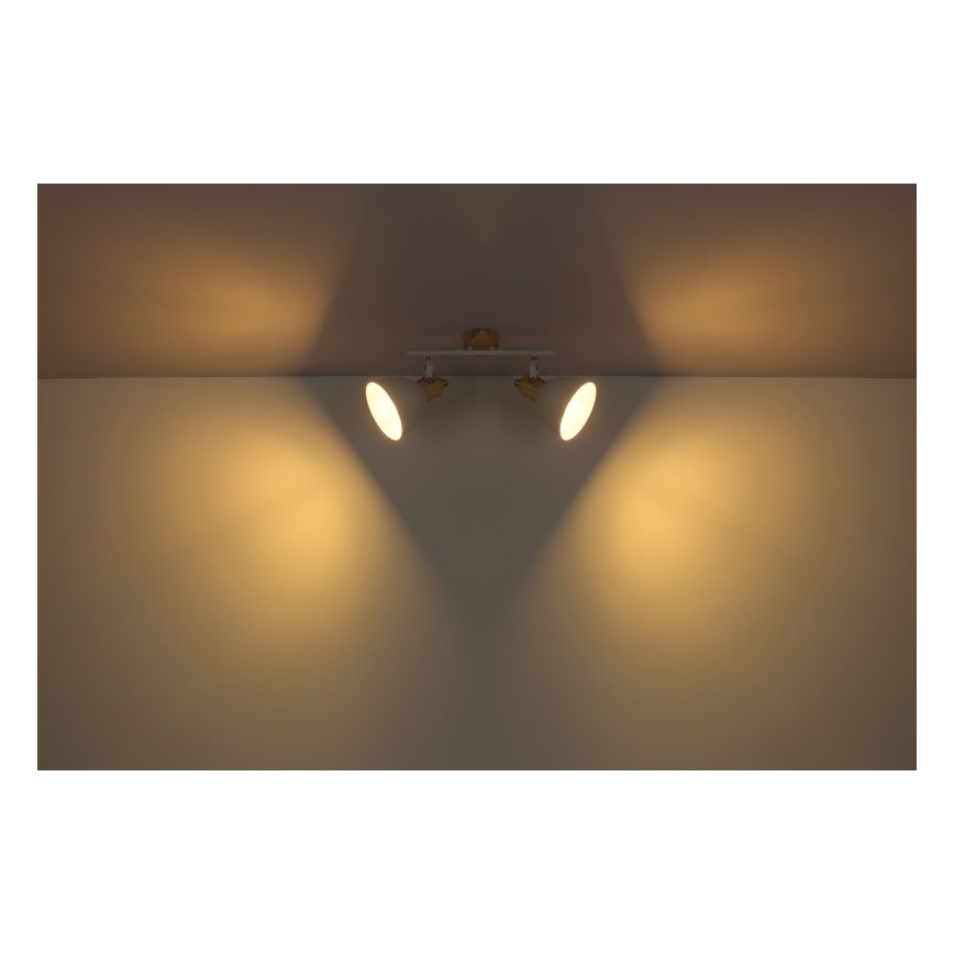 Globo - Kohtvalgusti 2xE27/40W/230V