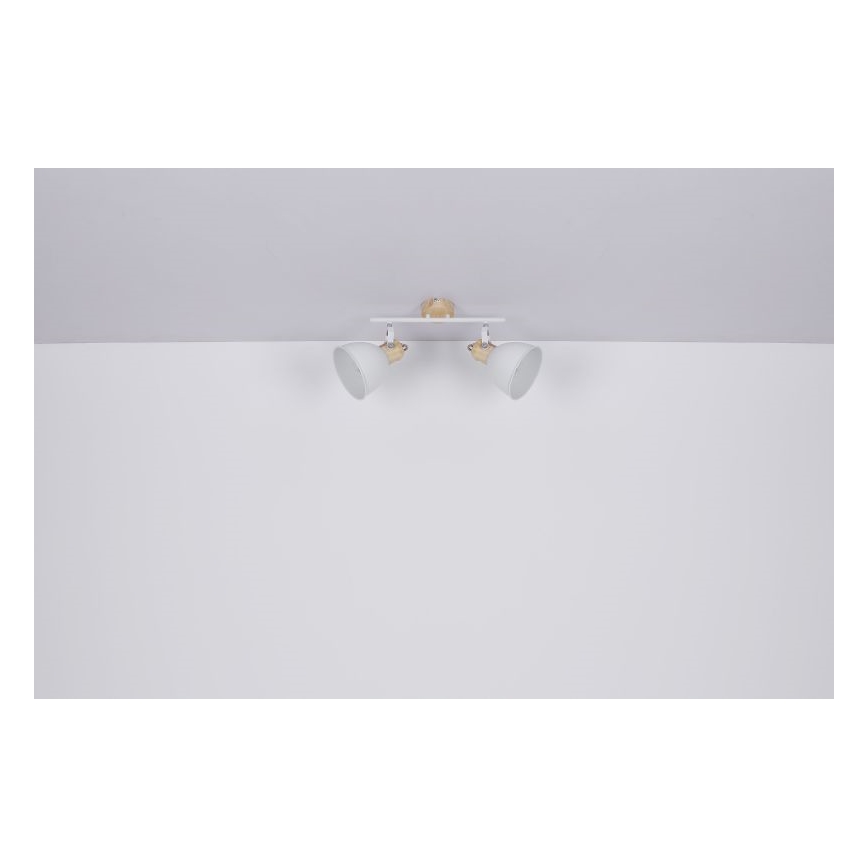 Globo - Kohtvalgusti 2xE27/40W/230V