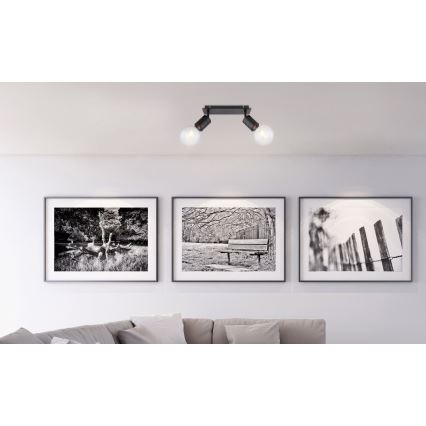 Globo - Kohtvalgusti 2xE27/60W/230V