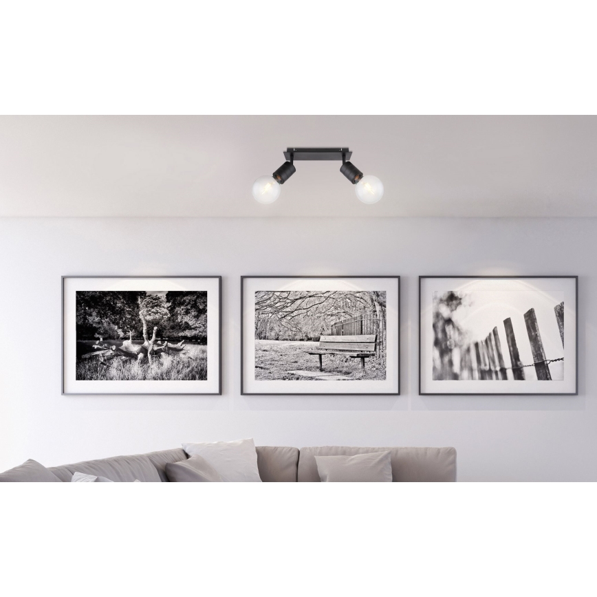 Globo - Kohtvalgusti 2xE27/60W/230V