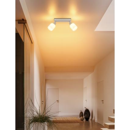 Globo - Suunavalgusti 2xE14/25W/230V