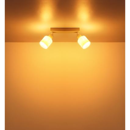 Globo - Suunavalgusti 2xE14/25W/230V