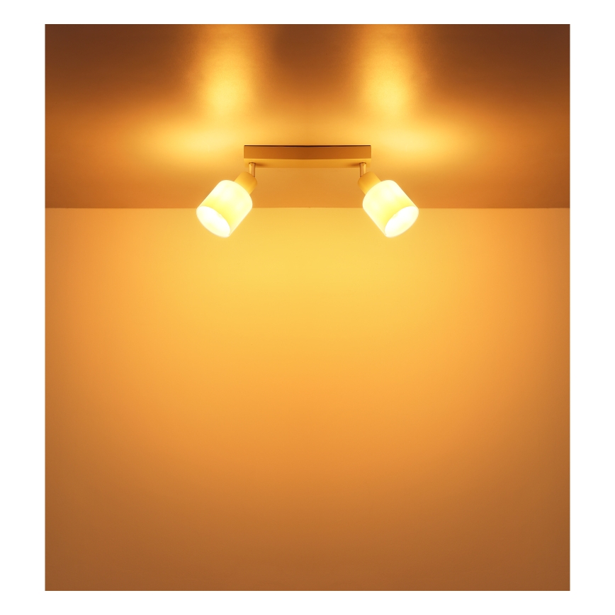 Globo - Suunavalgusti 2xE14/25W/230V