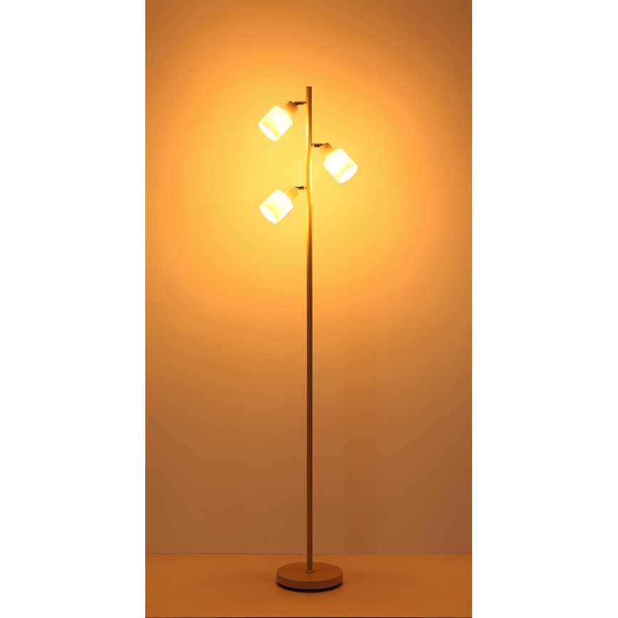 Globo - Põrandalamp 3xE14/25W/230V