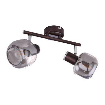 Globo 54303-2 - Kohtvalgusti PALLO 2xE14/40W/230V