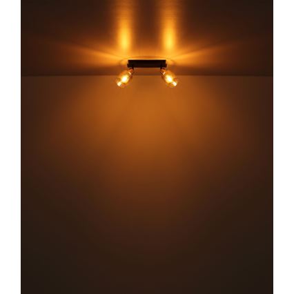 Globo - Kohtvalgusti 2xE14/25W/230V