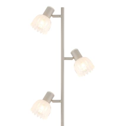 Globo - Põrandalamp 3xE14/40W/230V