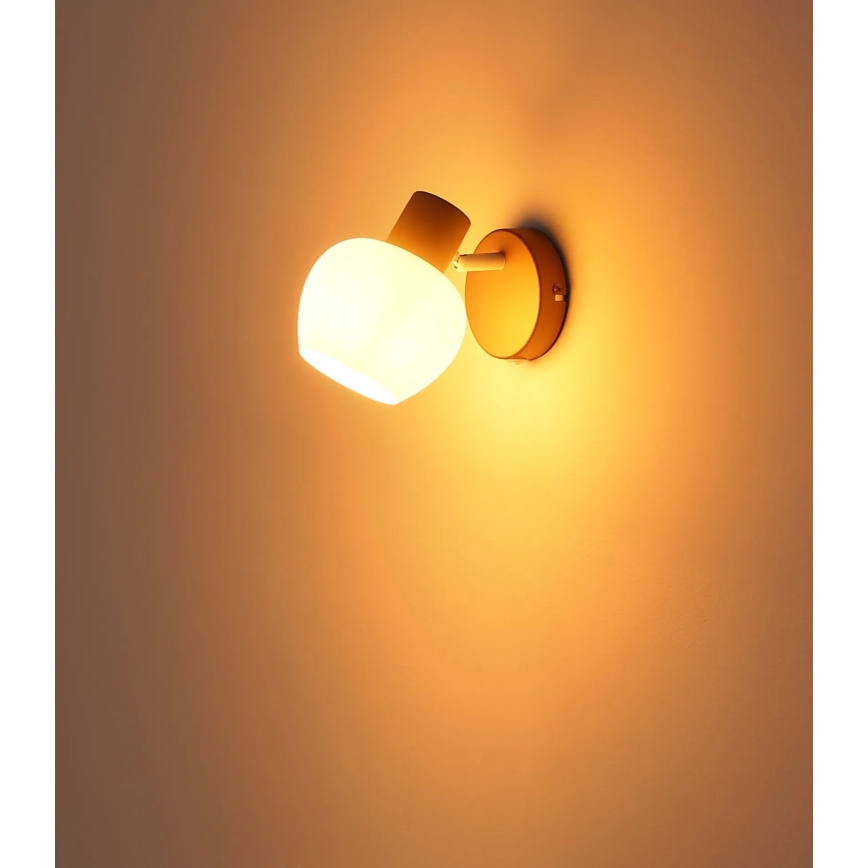 Globo - seinapunktvalgusti 1xE27/40W/230V