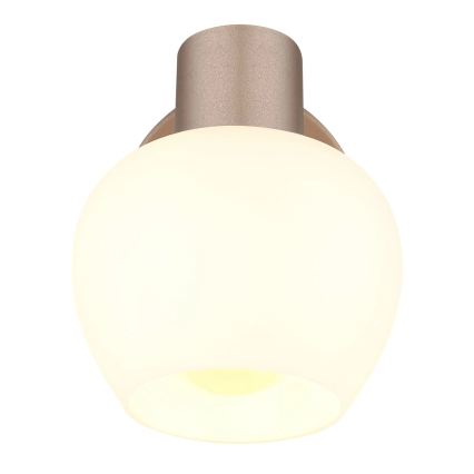 Globo - seinapunktvalgusti 1xE27/40W/230V