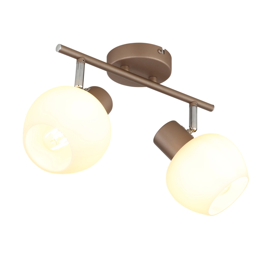 Globo - Suunavalgusti 2xE27/40W/230V