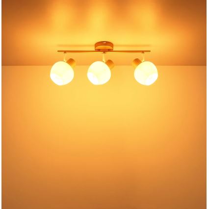 Globo - Suunavalgusti 3xE27/40W/230V