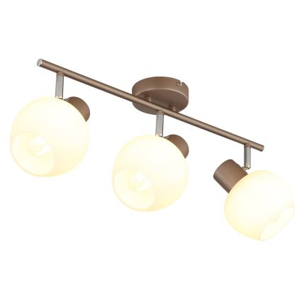 Globo - Suunavalgusti 3xE27/40W/230V