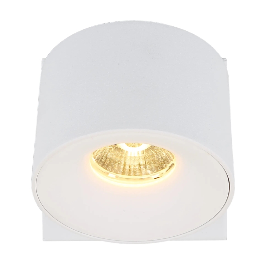 Globo - LED Kohtvalgusti seinale LED/6W/230V valge