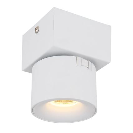 Globo - LED Kohtvalgusti seinale LED/6W/230V valge