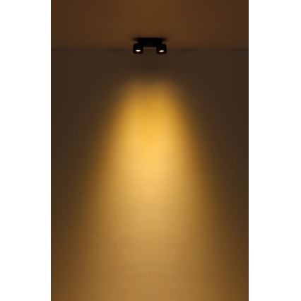 Globo - LED Kohtvalgusti 2xLED/6W/230V must